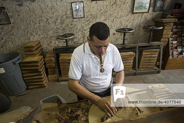 Ein Arbeiter rollt Zigarren in der Zigarrenfabrik im französischen Viertel  New Orleans  Louisiana  USA