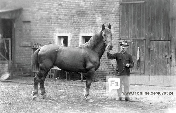 Mann mit Pferd  historische Aufnahme  ca. 1910