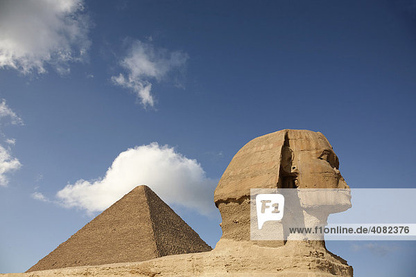Sphinx in Gizeh  Kairo  Äygpten  Nordafrika  Afrika