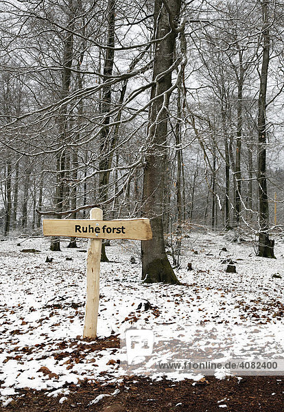 Ruheforst  alternative Bestattungsform  Pfälzer Wald  Pfalz  Rheinland-Pfalz  Deutschland