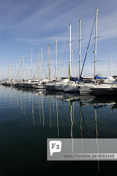 Boote im Hafen von Alcudia  Port Alcudia  Mallorca  Balearen  Spanien