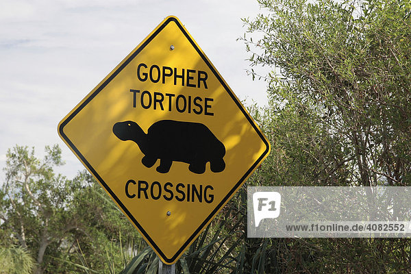 Schild Gopherschildkröten kreuzen  Myakka River State Park  Florida  USA