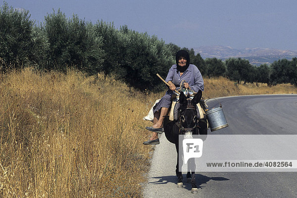 Old woman riding a donkey  Crete  Greece