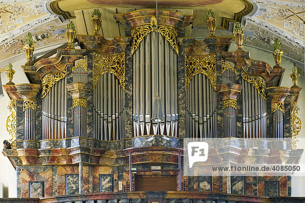 Marienweiher city of Marktleugast district of Kulmbach Upper Frankonia Bavaria Germany pilgrimage church Visitation of Mary organ