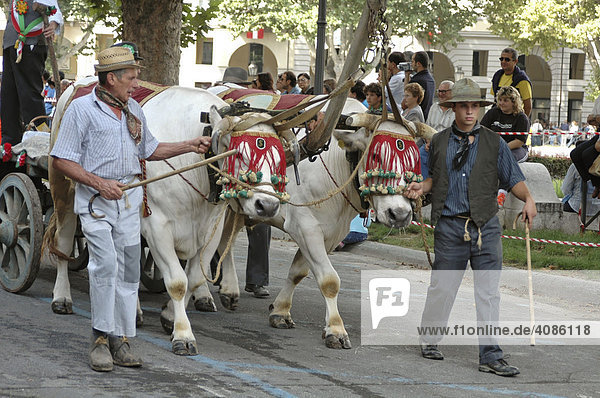 Asti Piemont Italy festival delle Sagre parade with traditional farmer customs