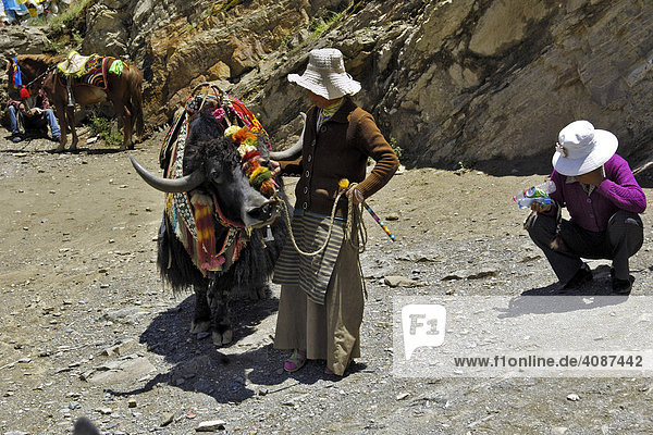 Yak und Führerin  am Weg zur Yumbulagang Festung  Tibet