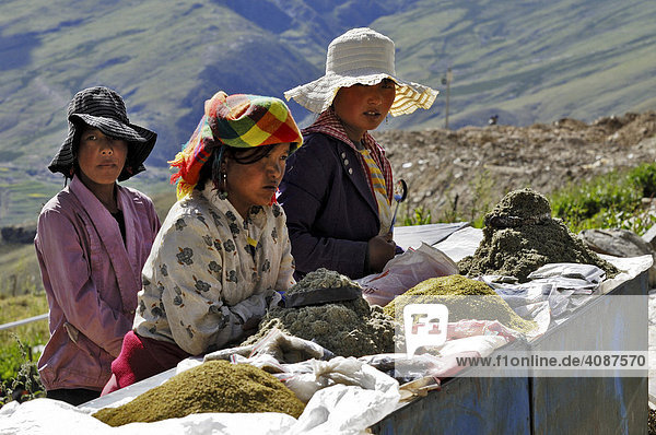 Frauen verkaufen Gewürze am Kloster Ganden (4300m) bei Lhasa  Tibet