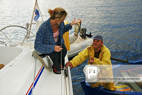 In der Bucht Donji Molunat bringt Fischer Donco frisch gefangenen Seefisch an Bord  Adria  Kroatien