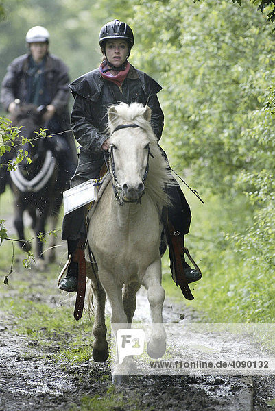 DEU  Deutschland  Mannheim  18.05.2003  Beim Distanzreiten reiten die Reiter ueber eine laengere Strecke. Wald bei Mannheim  Rhein-Neckar