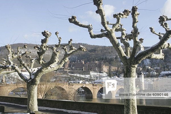 28.02.2005  DEU  Heidelberg  Schloß mit Neckar in der Wintersonne