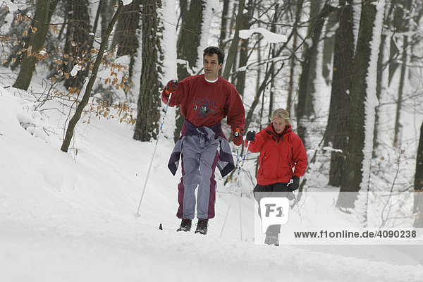 19.02.2005. Heidelberg  DEU  Langlaeufer beim Wintersport  Odenwald bei Heidelberg