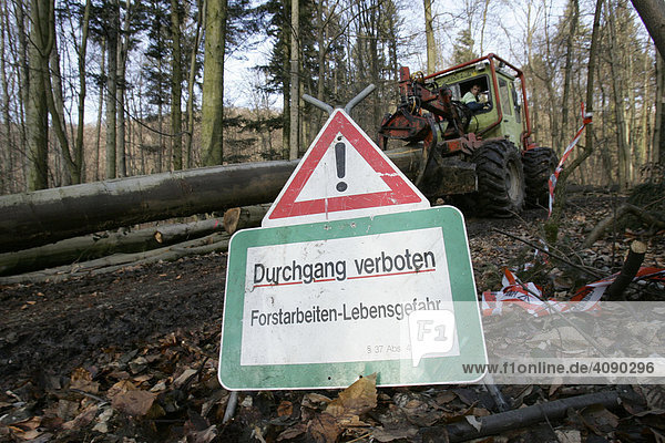 DEU  Federal Republic of Germany  woodmen transporting cut trees