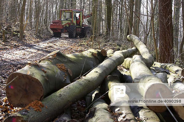 DEU  Federal Republic of Germany  woodman at work