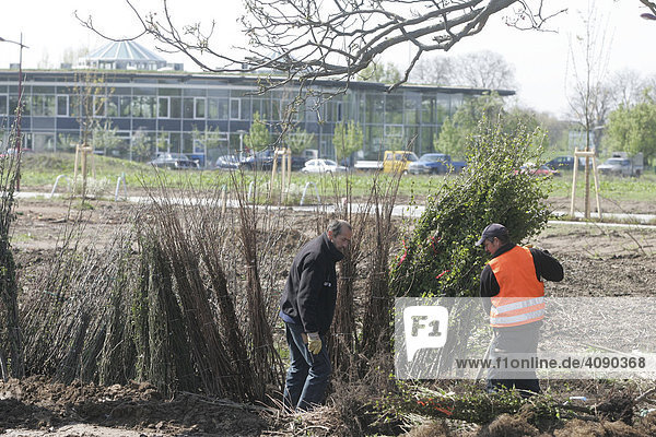 Mannheim  DEU  03.05.2005  Landschaftsgaertner bei der Arbeit  in einem neuen oekologischen Industriegebiet