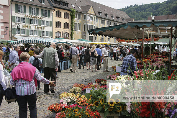 Markt beim Freiburger Münster  Freiburg  Baden-Württemberg  Deutschland