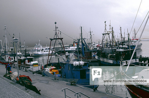 Fischkutter im Hafen von Sassnitz  Rügen  Mecklenburg-Vorpommern  Deutschland