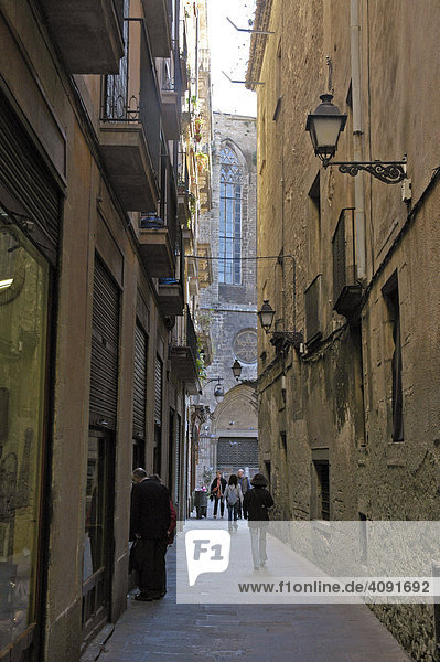 Narrow lane  gothic quarter  Barcelona  Catalonia  Spain