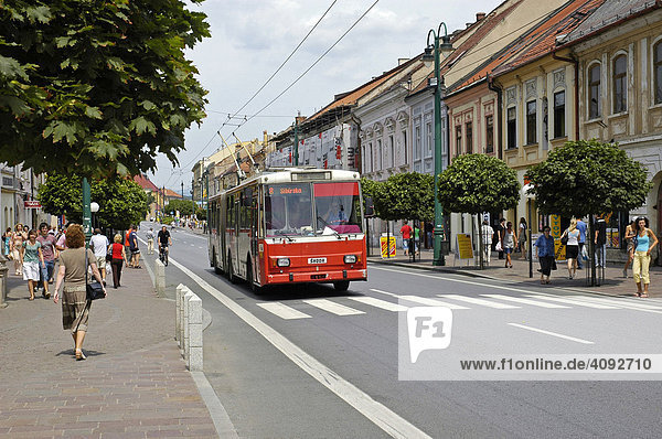 Bus  Presov  Preschau  Slowakei