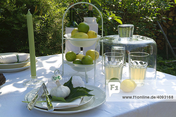 Gedeckter Tisch im Garten mit Dekoration und Glasglocke als Insektenschutz