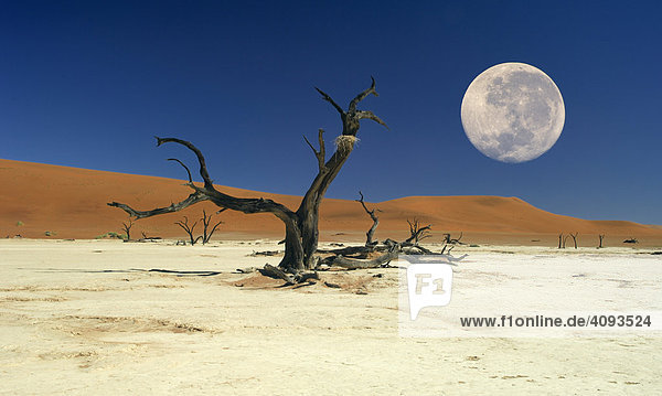 Totes Vlei mit Vollmond Namibwüste Namibia Afrika