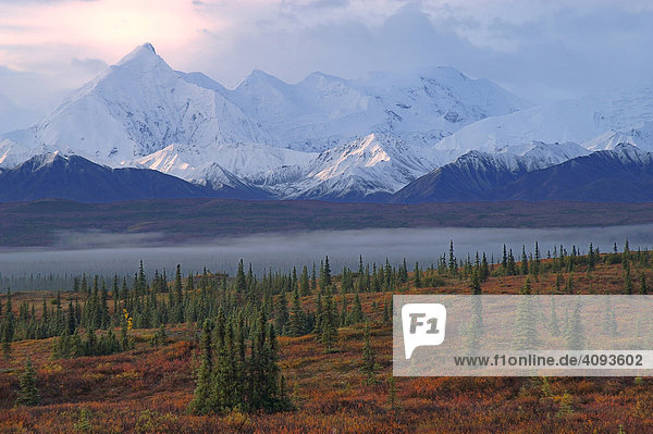 Lichtstimmung   Sonnenaufgang und Morgennebel im Wonderlake Gebiet sowie Gletscherwelt der schneebedeckten Alaskarange und rotverfärbter Tundra   Zwerg-Birke (Betula nana) Denali Nationalpark Alaska USA