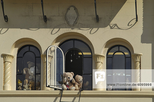 Teddybären im Fenster  Christchurch  Südinsel  Neuseeland