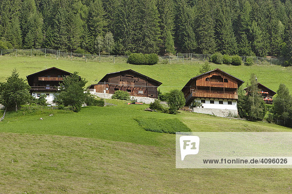 Bauernhäuser und Felder im Ahrntal  Südtirol  Italien