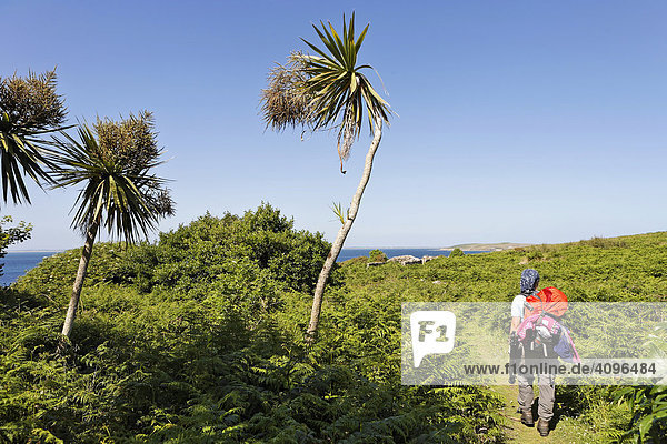 Palmen und Wanderin  Saltee Inseln  Irland