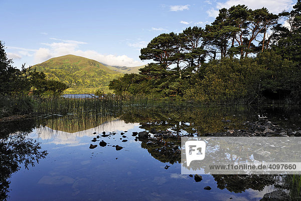 Loch Lein und der Berg Shehy Ross Halbinsel Killarney Nationalpark Irland