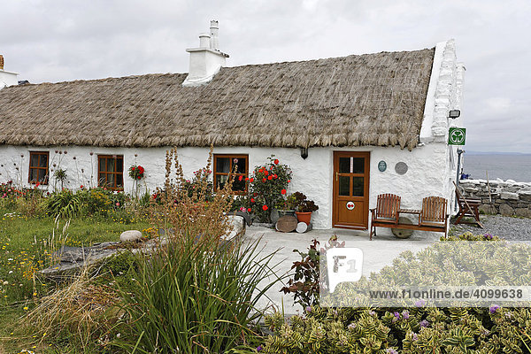 Haus im typischen Inselstil mit Strohdach  Inis Mor  Aran Inseln  Irland