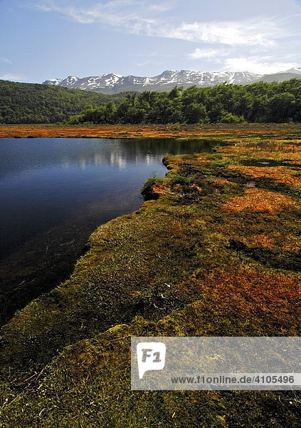 Black Lagoon (Laguna Negra)  Tierra del Fuego National Park  Argentina