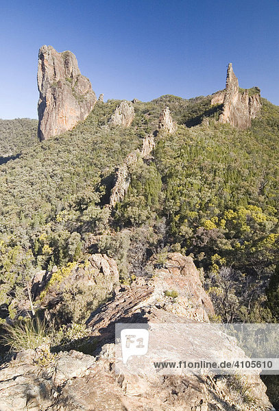 Spectacular volcanic rock formations in the Warrumbungles National Park  NSW  Australia