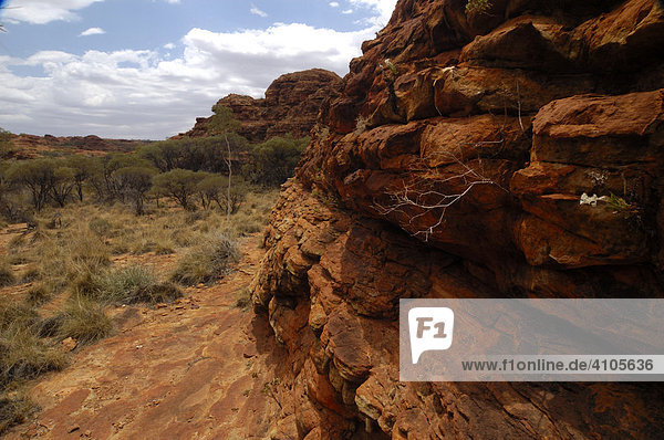 Zerklüftete Landschaft  Kings Canyon  Northern Territory  Australien