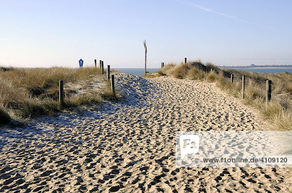 Path over sand dunes between protective fencing  near List  Sylt Island  North Frisian Islands  Schleswig-Holstein  Germany