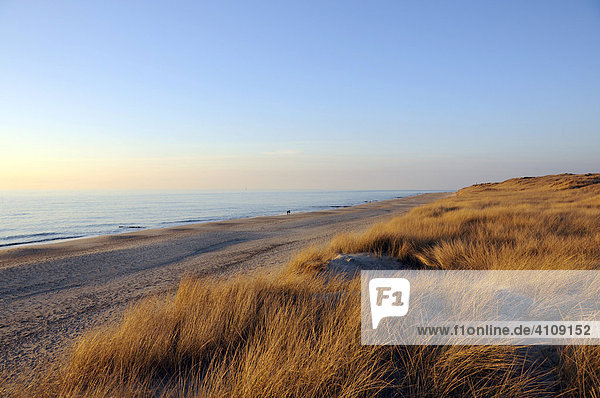 Strand 5 Km südlich von Westerland  Sylt  nordfriesische Insel  Schleswig Holstein  Deutschland  Europa