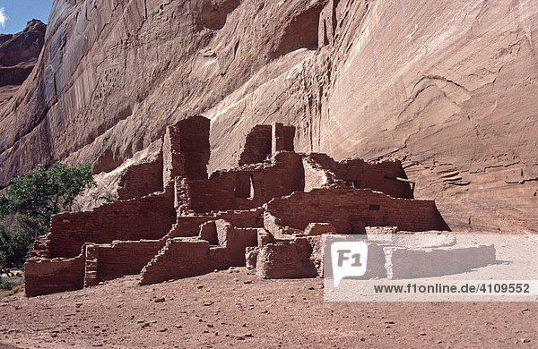 White House Ruins  Ruinen einer alten Indianerkultur  Canyon de Chelly  Arizona  USA  Nordamerika