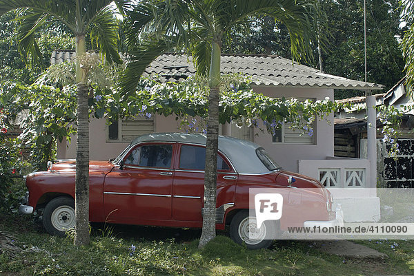Oldtimer rot parkt im Garten bei Haus in Pinar del Rio  Vinales  Kuba  Karibik
