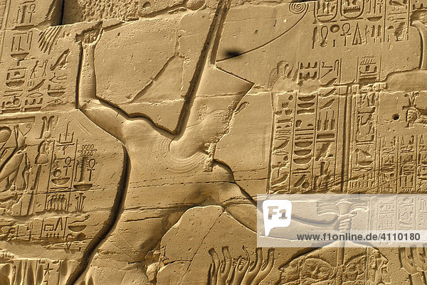 Wandzeichnung  Inschriften  Karnak Tempel  Luxor  Ägypten