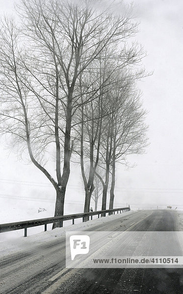 Nasse und rutschige Fahrbahn einer leeren Landstraße im Winter  Erzgebirge  Sachsen  Deutschland