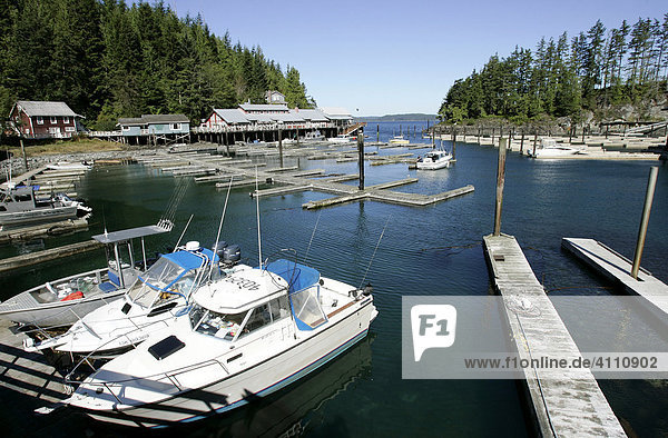 Hafen des Fischerdorfs Telegraph Cove auf Vancouver Island British Columbia Kanada