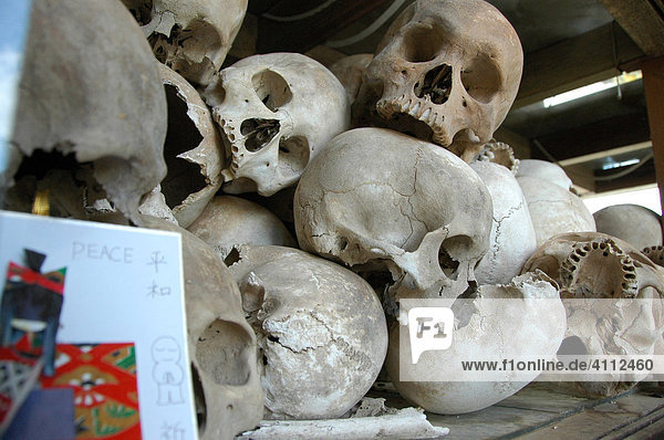 Choeung Ek or the Killing Fields one of the most sorrowful places in Cambodia approximately 8000 skulls of victims stored in a mausoleum behind glass Phnom Penh Cambodia Southeast Asia