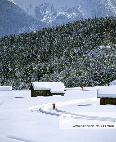 Winter landscape with cross-country ski run between Kaltenbrunn and Klais  Upper Bavaria  Germany