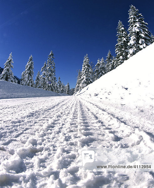 Snowy country road in winter with tyre tracks