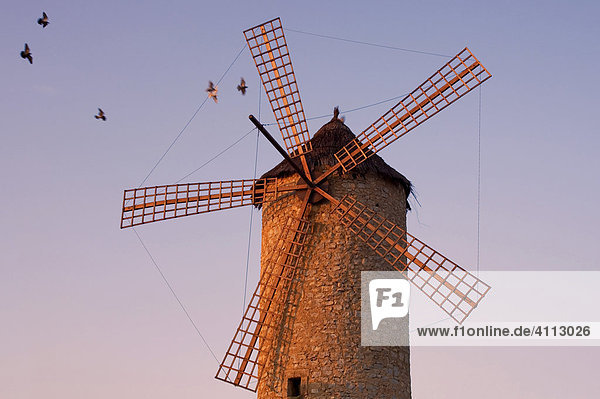 Old windmill near Arta  Majorca