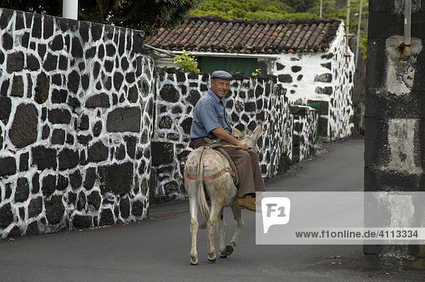 Alter Mann reitet auf Esel durch Dorf  Ponta Negra  Pico  Azoren  Portugal