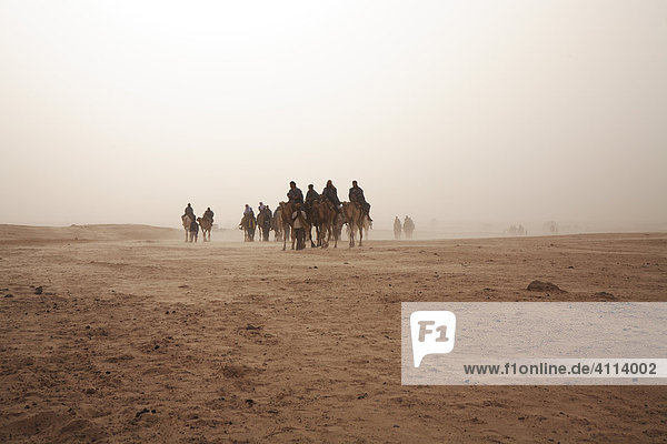 Eine Karawane von Kamelreitern im Sandsturm  Douz  Tunesien