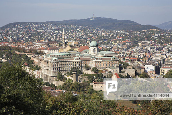Budaer Burg  Budapest  Ungarn