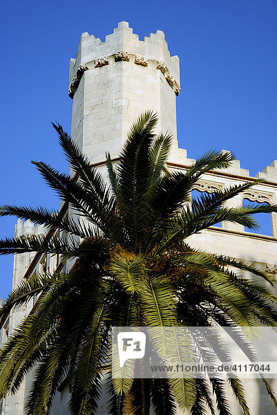 Turm  La Lonja  Palma de Mallorca. Balearen  Spanien  Europa