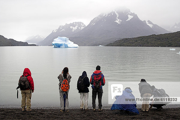 Grey Lake near Grey Glacier  Torres del Paine National Park  Patagonia  Chile