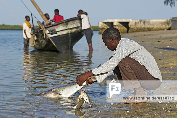 Fischer bei der Arbeit Ibo Island Quirimbas Archipel Mosambik Afrika